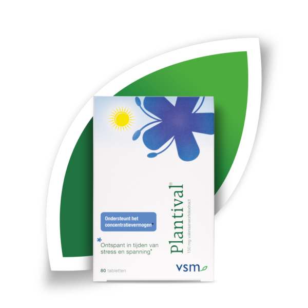 VSM_Plantival